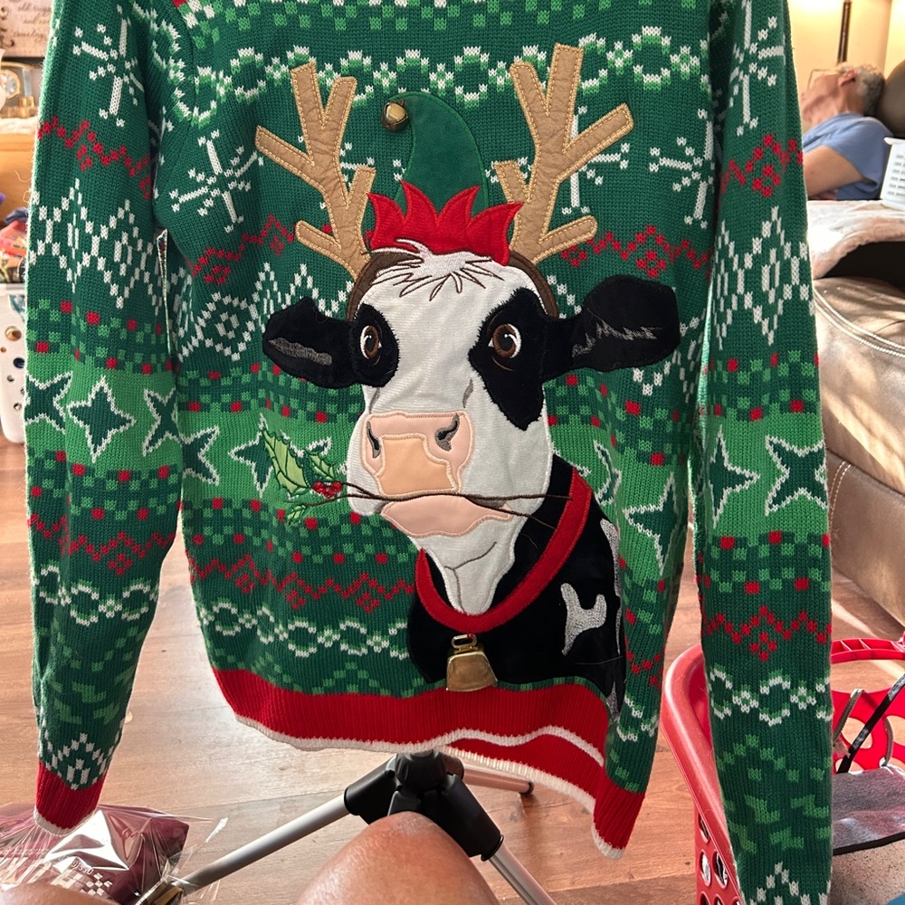 Holiday Time Green and Red Crewneck Sweater‎